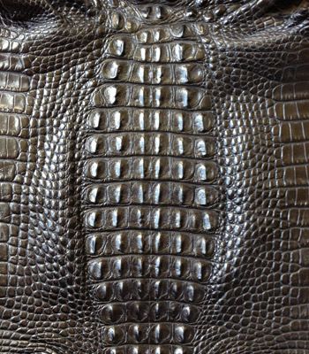 Crocodile Skin Wallpaper, Crocodile Textured Walls, Interior Crocodile Alligator, Rolls Royce Interior, Crocodile Leather Texture, Alligators Art, Scale Skin, Alligator Skin, Croc Leather