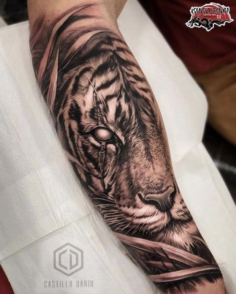 Arm Tattoos Tiger, Tiger Forearm Tattoo, Tiger Hand Tattoo, Tiger Eyes Tattoo, Tiger Face Tattoo, Cute Tattoo Ideas, Tiger Tattoo Sleeve, Animal Sleeve Tattoo, Cute Tattoo