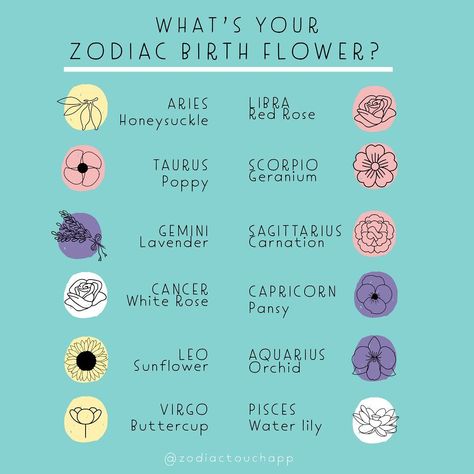 April 27 Zodiac Sign, Aquarius Flower Birth Month, April Sign Zodiac, Flowers For Zodiac Signs, Taurus Zodiac Flower, Taurus Flower Birth Month, Zodiac Signs Flowers, Gemini Birth Flower, Zodiac Sign Flowers