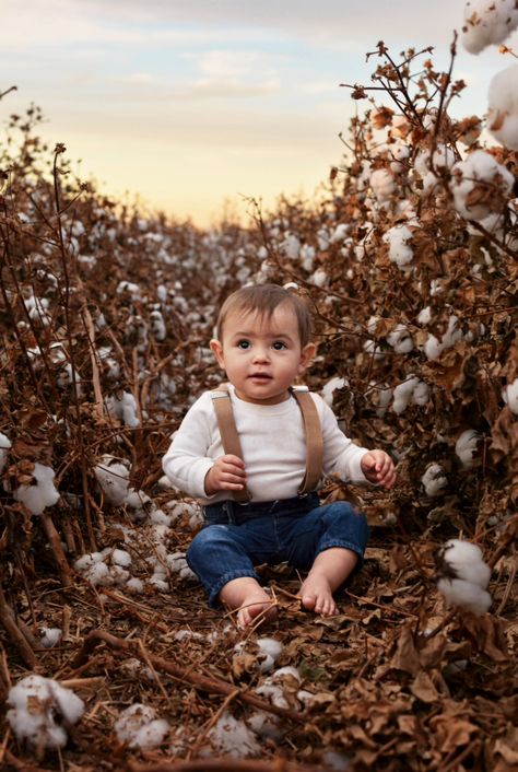 Cotton Family Pictures, Fall Cotton Field Family Pictures, Fall Family Photos Corn Field, Family Pictures In Cotton Field, Family Cotton Field Pictures, Family Photos Corn Field, Cotton Field Photoshoot, Cotton Field Pictures, Cotton Field Photography