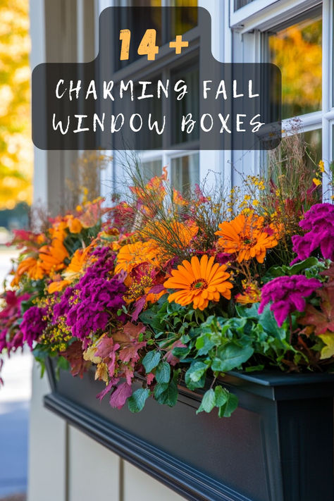 Fall in love with your home’s exterior this season! Click to explore 14 charming window box ideas that capture the essence of fall. 🍁🏡 #FallDecor #WindowBoxes #HomeExterior #AutumnVibes #DecorInspiration Autumn Window Boxes, Fall Window Boxes Ideas, Fall Flower Boxes, Awkward Living Room Layout, Window Box Ideas, Tropical Windows, Autumn Window, Fall Window Boxes, Outdoor Fall Decor Ideas