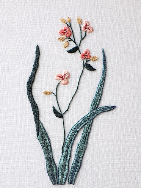 Botanical Embroidery Pattern, Botanical Embroidery, Hardanger Embroidery, Learn Embroidery, Pola Sulam, Brazilian Embroidery, Types Of Embroidery, Rose Embroidery, Hand Embroidery Stitches