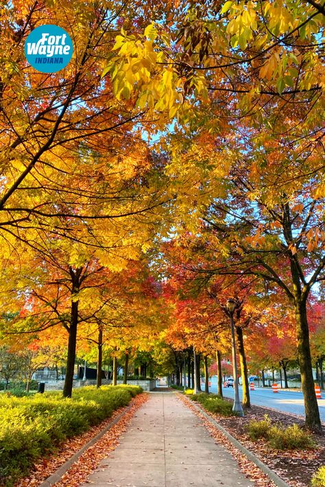 Fall is the best in the Midwest. And no matter what you like best about the fall, Fort Wayne, Indiana is the perfect place for you to celebrate! Harvest Activities, Apple Orchards, Fall Getaways, Fort Wayne Indiana, Pumpkin Patches, Fall Things, Fall Break, Halloween Autumn, Changing Leaves