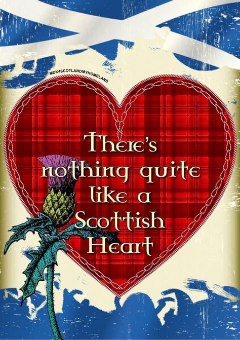 Kirkcudbright Scotland, Scottish Poems, Scottish Sayings, Dustin Clare, Burns Day, Scottish Quotes, Scottish Words, Scottish Heather, Scottish Pride