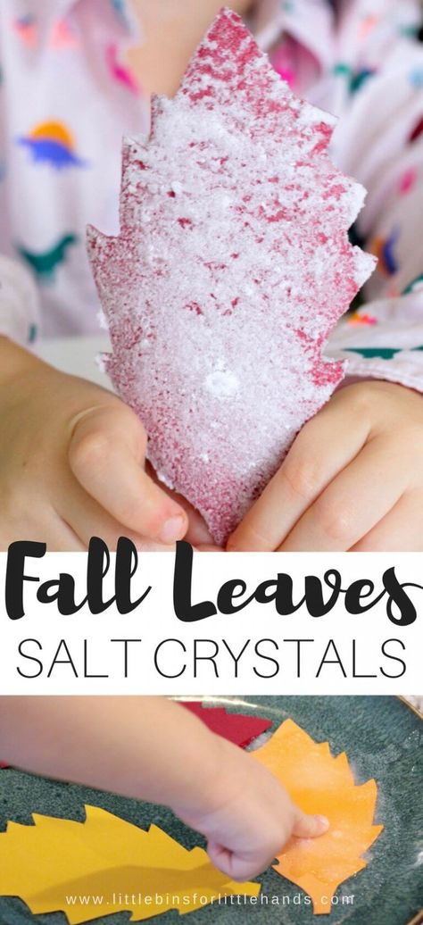 Leaves Science Experiment, Fall Science Activities, Fall Stem Activities, Stem Activity For Kids, Season Salt, Fall Science, Toddler Science Experiments, Science For Toddlers, Kitchen Science