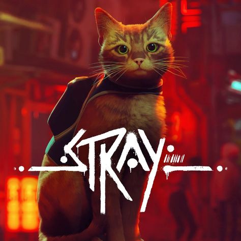 Stray Game, Play Stations, Dope Cartoons, Playstation Store, Ps5 Games, No Man's Sky, Bahasa Melayu, Kitty Games, New Video Games