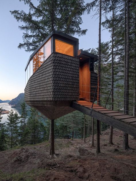 Norwegian Architecture, Tree Hugging, Timber Architecture, Richard Neutra, Unusual Buildings, Live Tree, Norwegian Forest, Tiny House Decor, Forest Floor