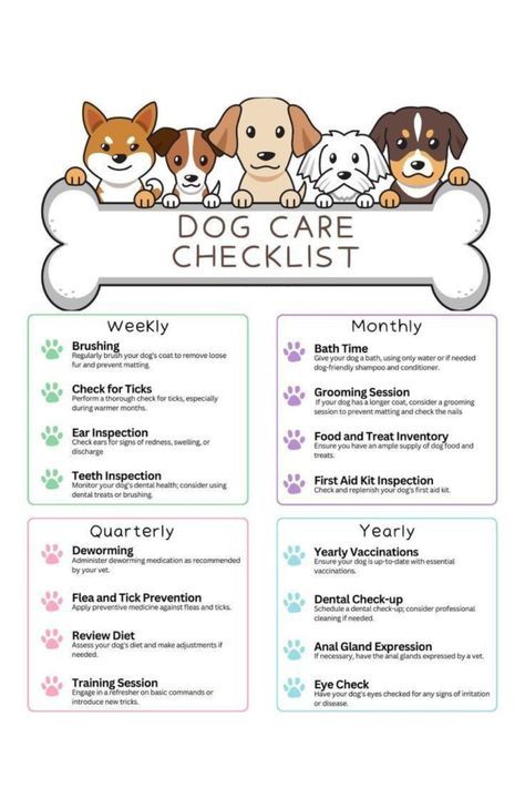 Dog Health Checklist, Best Dogs For First Time Owners, Dog Chore Chart, Tips For New Dog Owners, Taking Care Of Dogs, Dog Care Routine, Dog Care Products, Dog Care Tips Pet Grooming, Caring For Puppies