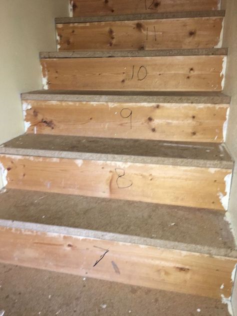 How To Update Carpeted Stairs Into A Wooden Staircase Replacing Carpet On Stairs With Wood, Wood Stair Treads Basement, Diy Wood Rv Stairs, How To Install Wood Flooring On Stairs, How To Make Wood Stairs Quiet, Stairs Makeover Ideas, Wooden Staircase Design, Carpet Staircase, Stairs Renovation