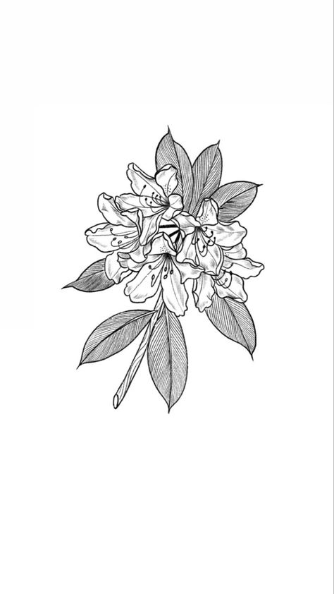 Pnw Flower Tattoo, Rodedenderon Tattoo, Rodadendren Flower Tattoo, Rhododendron Drawing Simple, Rhodendron Tattoo, Rhodedendrum Tattoo, Coast Rhododendron Tattoo, Pacific Rhododendron Tattoo, Rhododendron Tattoo Simple