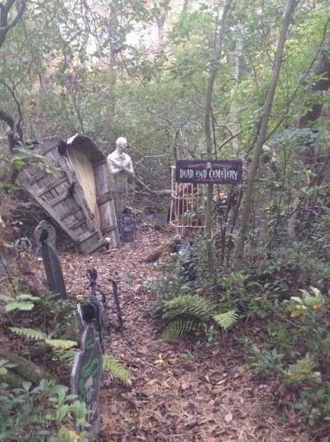 Haunted Trail Ideas, Halloween Decorations Party Scary, Trail Ideas, Easy Outdoor Halloween Decorations, Haunted Trail, Haunted Woods, Easy Diy Halloween Decorations, Casa Halloween, Haunted Forest