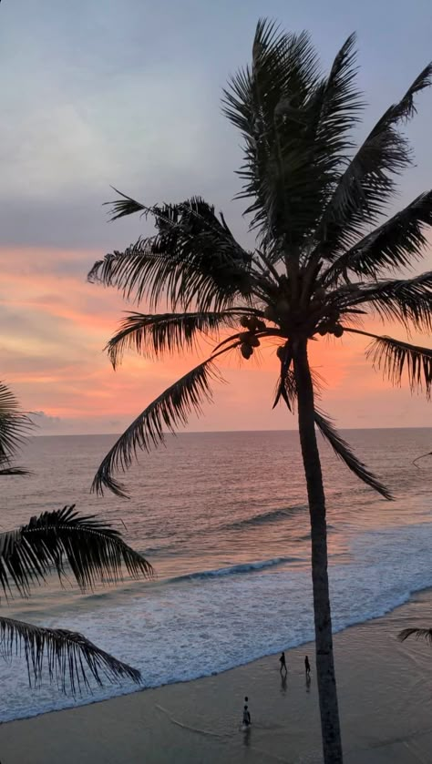 Indian beach aesthetic palm trees sunset ocean photography Varkala Aesthetic, Varkala Beach, Creative Beach Pictures, Travel 2024, Bf Picture, Beach Hotel & Resort, Goa India, Instagram Snap, Visual Board