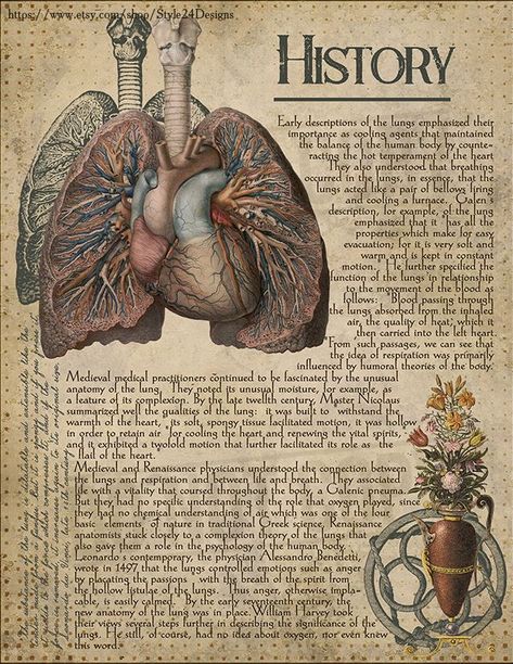 Vintage Medical Art, Human Anatomy Art, Medical Anatomy, Vintage Medical, Medical Art, Vintage Poster Art, Green Witch, Anatomy And Physiology, The Human Body