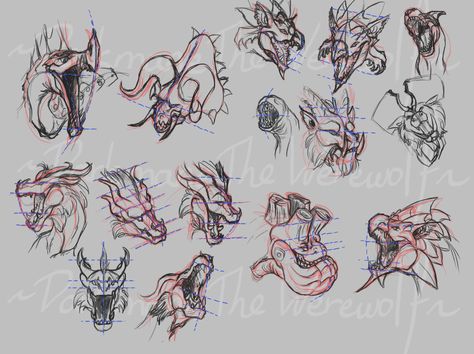 Dragon head perspective (With Monster Hunter) by DarkmaneTheWerewolf.deviantart.com on @deviantART White Fatalis, Head Perspective, Dragon Anatomy, Dragon Wolf, Dragon Heads, Character Design Cartoon, Drawing Heads, How To Make Drawing, Dragon Head