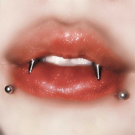 Tiger Teeth Piercing, Fang Peircings, Vampire Teeth Piercing, Multiple Lip Piercings, Piercings Teeth, Mouth Piercings Smiley, Angel Fang Piercing, Snakebite Piercing Lip, Lip Percinings