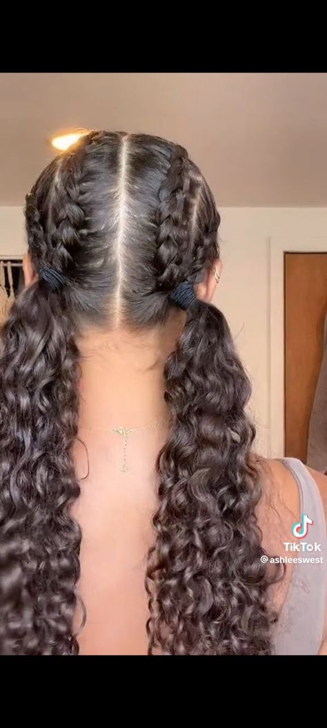 Curly Hairstyles Plaits, Plait Hairstyles, Curly Hair Ponytail, 3c Hair, Mixed Curly Hair, Curly Ponytail, Plaits Hairstyles, Curly Hair Inspiration, Dutch Braid