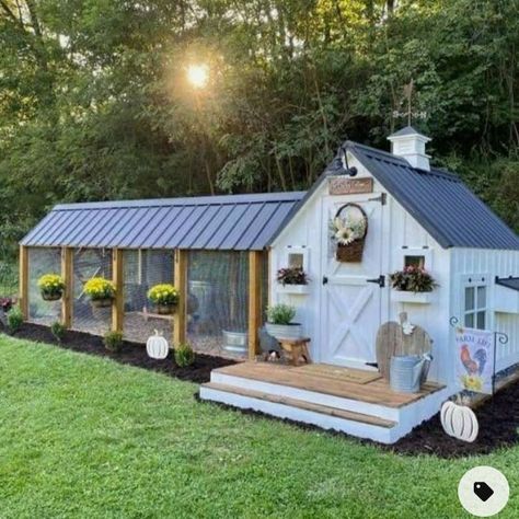 Cute Chicken Coops, Chicken Coop Garden, Chicken Shed, Backyard Chicken Coop Plans, Chicken Pen, Diy Chicken Coop Plans, Chicken Coop Run, Backyard Chicken Farming, Coop Design