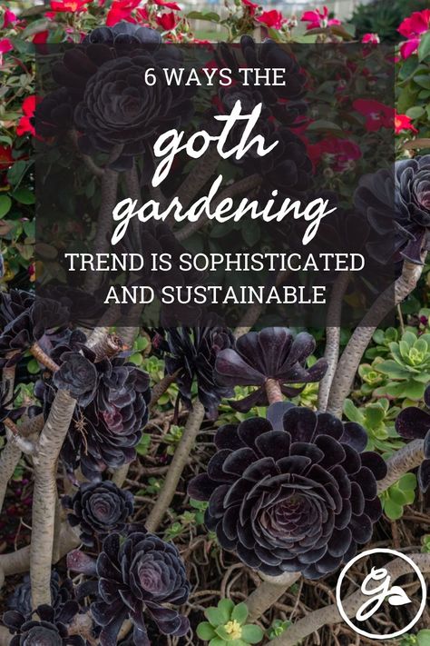 It's time to rethink your assumptions about goth gardens. This deliciously dark theme offers a wealth of design inspiration that all gardeners can learn from. Goth Garden Design, Goth Landscaping, Gothic Garden Ideas Backyards, Gothic Landscaping, Goth Garden Aesthetic, Goth Garden Ideas, Gothic Garden Ideas, Dark Academia Garden, Gothic Gardens