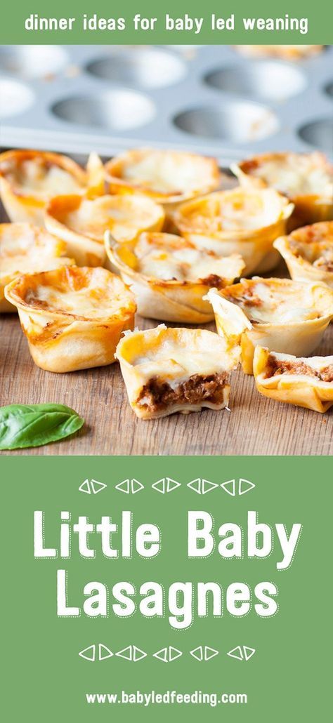 Lasagne Bites, Fingerfood Baby, Baby Led Feeding, Baby Led Weaning Recipes, Weaning Recipes, Homemade Baby Foods, Homemade Baby Food, Dairy Free Options, Homemade Baby