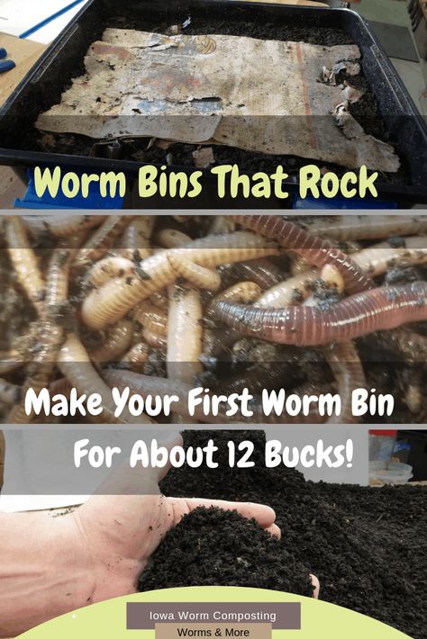 Earthworm Farm, Composting Worms, Worm Farm Diy, Worm Bins, Worm Castings Tea, Worm Beds, Worm Composting Bin, Patio Container Gardening, Worm Bin