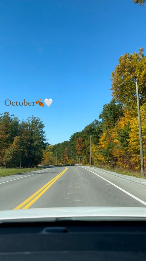 October Story Instagram, Fall Insta Story Ideas, Fall Insta Story, Fall Instagram Stories, Leaves Aesthetic, Colourful Leaves, Feed Layout, Nature Photography Quotes, Instagram Feed Layout