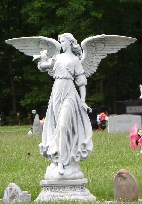 Angel Headstone, Cemetery Angels, Cemetery Statues, I Believe In Angels, Angel Statue, Angel Sculpture, Eternal Youth, Cemetery Art, Angels Among Us