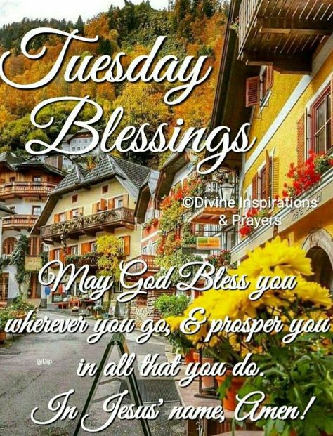 Tuesday Blessings Mornings Scripture, Tuesday Blessings Mornings, Have A Blessed Monday, Beautiful Tuesday, Happy Tuesday Morning, Tuesday Quotes Good Morning, Monday Greetings, Morning Scripture, Tuesday Blessings