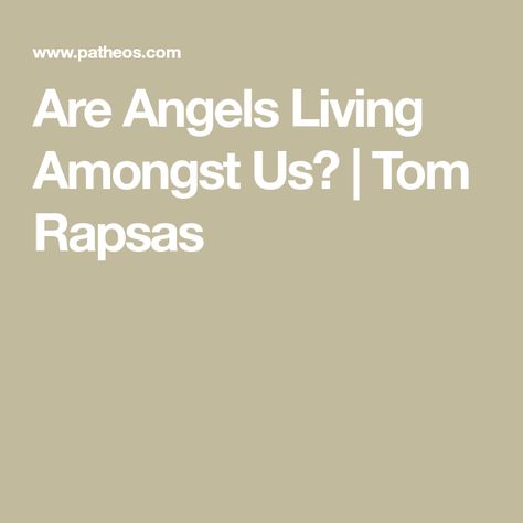 Are Angels Living Amongst Us? | Tom Rapsas Centering Prayer, Angel Stories, Commercial Plane, Never Alone, Guardian Angels, Transform Your Life, True Stories, Did You Know, Real Life