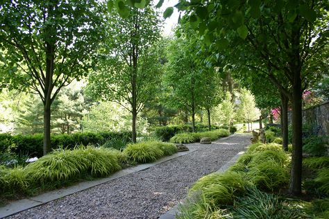 Landscape Design Ideas, Gravel Landscaping, Gravel Driveway, European Garden, Driveway Landscaping, Path Design, Gravel Path, Modern Landscape Design, Grasses Garden