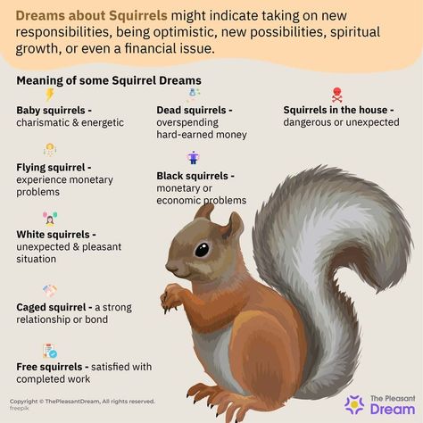 A Dreaming about Squirrels Does Not Always Imply Joy and Fun. Here’s What It Really Means Squirrel Meaning, Squirrel Symbolism, Dead Squirrel, Animal Symbols, Magic Animals, Divination Witch, Squirrel Feeders, Animal Meanings, Spirit Animal Totem