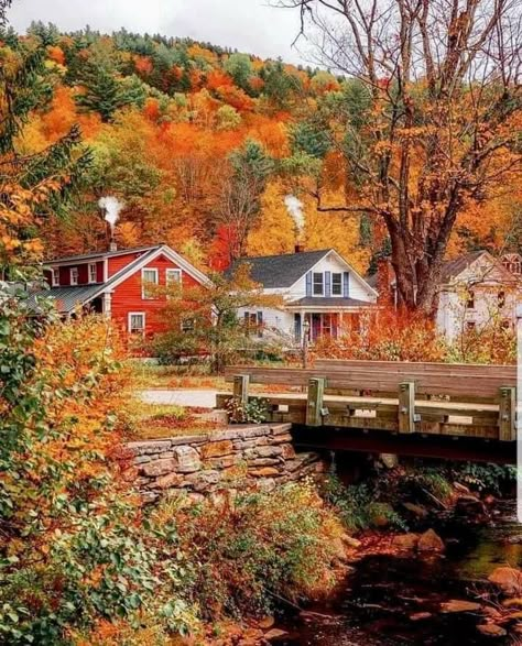 Autumn Adventures, New England Fall, Autumn Magic, Fall Stuff, Love Autumn, Autumn Scenes, Autumn Scenery, Beautiful Autumn, I Love Fall