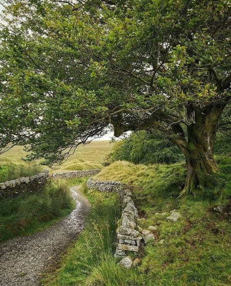 Farm Lifestyle, British Countryside, Village Life, English Countryside, Nature Aesthetic, Pretty Places, Lake District, Country Life, Pretty Pictures