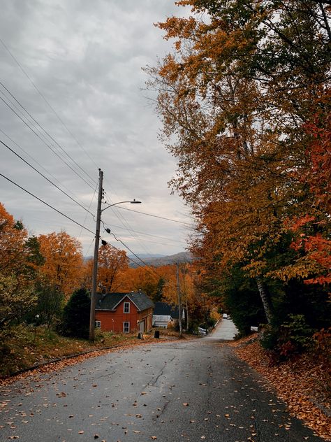 Gloomy sky, fall leaves, wet road Gloomy Fall Aesthetic, Gloomy Autumn, Fall Wonderland, Fall Aesthetic Pictures, Fall Widgets, Fall Boards, Fall Mood Board, Fall Mood, Cozy Season