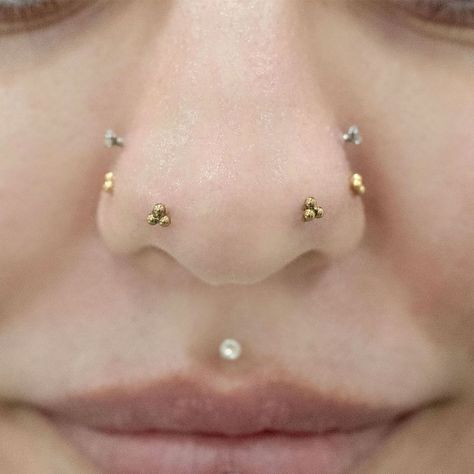 LULUS’s Instagram photo: “this mantis piercing is 🔥 how many nose piercings do you have? 🤩👇 . . . #mantispiercing #mantis #piercings #piercing #pierced #nosepiercing…” Prey Mantis Tattoo, Praying Mantis Tattoo Beautiful, Spiny Flower Mantis Tattoo, Praying Mantis Leg Tattoo, Mantis Nose Piercing, Mantis Piercing, 3 Lobe Piercings, Face Piercings, Facial Piercings