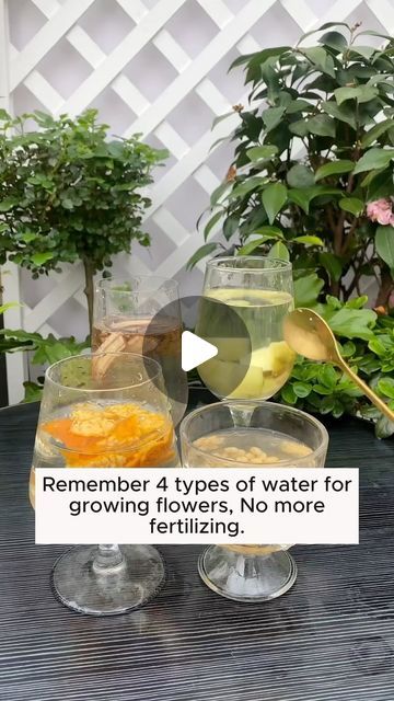 My Garden Ideas on Instagram: "4 tips for watering plants #garden #gardening #plants #planting #planthacks #gardenhacks #gardeningmakemehappy #gardeningtips #gardeningideas #gardeninspiration #gardenlove" Pasta Water For Plants, Lucky Plant, Water Garden, Plant Care, Vegetable Garden, Gardening Tips, Indoor Plants, Water, Plants