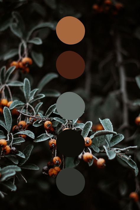 Fall Color Pallet 2023, Color Schemes Dark Academia, Moody Home Paint Palette, Moody Aesthetic Color Palette, Dark Boho Color Scheme, Fall Color Palette With Black, Dark Neutral Wedding Color Palette, Dark Bedroom Color Palettes, Dark Bohemian Color Palette