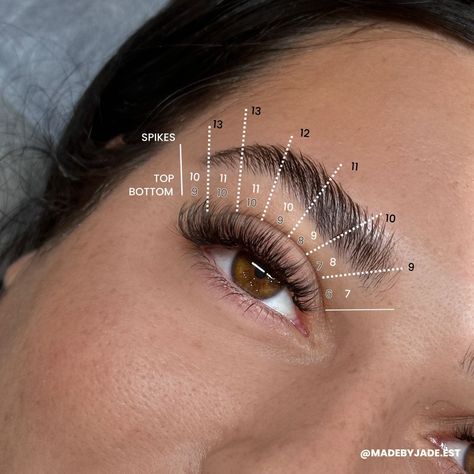 Lash map Natural Whispy Lashes Extensions Map, Open Eye Wispy Lash Extensions Mapping, Open Eye Hybrid Lash Extensions Mapping, Wet Wispy Lash Extensions Map, Cat Eye Lashes Mapping, Kitten Eye Mapping, Wispy Cat Eye Lash Map, Lash Mapping Volume, Hybrid Wispy Eyelash Extensions Mapping