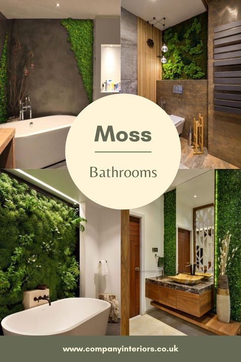 In Our Moss Shop you will find all the products you will need  to make moss wall art to build a moss wall using preserved moss. The Moss used in Ball Moss ,Flat Moss and Lichen. The Moss wall requires no maintenance whatsoever. Sustainable sources provide the moss and reindeer moss is a popular product from Scandinavian moss sources.  So you can create your own moss wall and install in your office or home. #mosswalls #mosswallart #moss #flatmoss #preservedmoss #mossart #homedecor #mossfeatures Moss Wall Bathroom, Scandinavian Moss, Moss Frame, Moss Letters, Moss Walls, Types Of Moss, Wc Design, Ivy Wall, Moss Decor