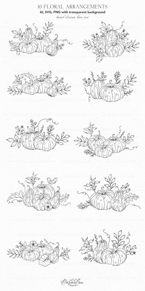 Pumpkin SVG Bundle, Hand Drawn Line Art Pumpkin Clipart, Fall Florals, Pumpkin Arrangements, Fall Wedding Clipart, Thanksgiving SVG Pumpkin Field Drawing, Fall Trinkets, Pumpkin Plant Drawing, Pumpkin Digital Art, Fall Line Drawings, Autumn Line Art, Pumpkin Line Art, Pumpkin Patch Drawing, Line Work Flowers