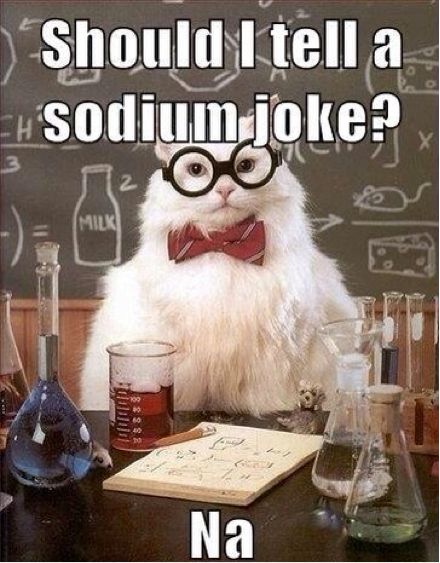 Science Cat, Chemistry Puns, Chemistry Cat, Nursing School Humor, Work Quotes Funny, Science Jokes, Medical Humor, Travel Humor, Cartoon Network Adventure Time