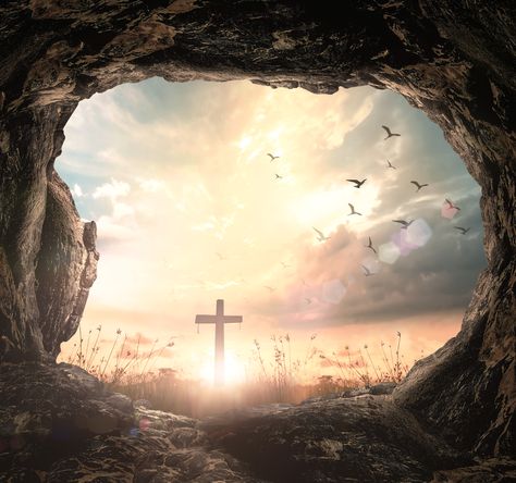 Empty Tomb, Resurrection Day, Jesus Is Risen, Resurrection Sunday, Christ Is Risen, Jesus Resurrection, Jesus Christ Images, Christmas Jesus, Jesus Images