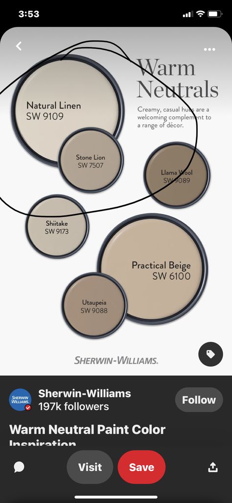 Soft Suede Sherwin Williams, Stone Lion Sherwin Williams Living Rooms, Sw Stone Lion, Stone Lion Sherwin Williams, Sherwin Williams Stone Lion, Warm Neutral Paint Colors, Stone Lion, Neutral Paint Color, Brown Floors