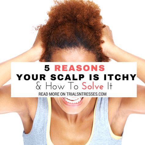 If you've had it up to here with your itchy scalp and want some answers here are 5 reasons your scalp is itchy and how to solve it. Itchy Dry Scalp Remedy, Itchy Scalp Causes, Itchy Scalp Remedy, Dry Scalp Remedy, Itchy Flaky Scalp, Scalp Braids, Thick Hair Remedies, Scalp Problems, Dry Itchy Scalp