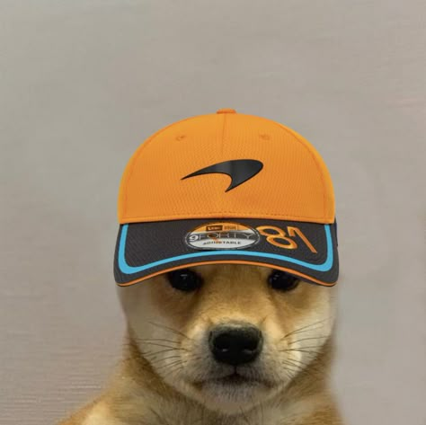 Dog Pfp, F1 Motorsport, Graphic Shirt Design, F1 Wallpaper Hd, Oscar Piastri, Mclaren F1, Formula 1 Car, Funny Wallpaper, Racing Driver