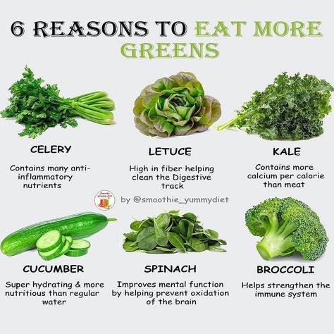 Smoothie simple on Instagram: “Reasons to eat more greens🖕👊 . Drop your thoughts below👇 . Now science is backing the fact that the more greens we eat, the better it is…” Smoothie Fatloss, Leafy Greens Recipes, Eat More Greens, High Protein Vegetarian Recipes, Dark Leafy Greens, Juicer Recipes, Juice Diet, Green Veggies, Green Vegetables