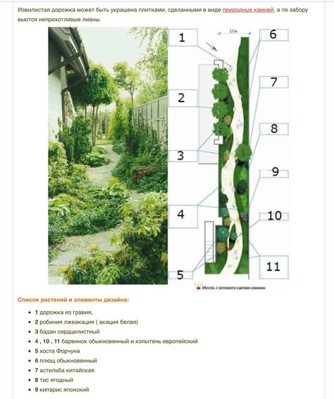 Garden Design Plans Landscape, Landscape Ideas Plan, House Landscape Plan, Garden Landscape Plan, Planting Design Plan, Landscape Design Plan, Dream House Garden, Front Yard Landscape, Narrow Garden