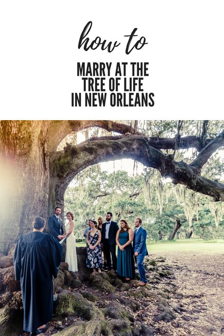 How to get married at the tree of life in New Orleans - Ibay Photography How To Get Married, New Orleans Elopement, Nola Wedding, Elopement Ceremony, New Orleans Wedding, The Tree Of Life, Wedding Photography Poses, Wedding Guide, Take Two