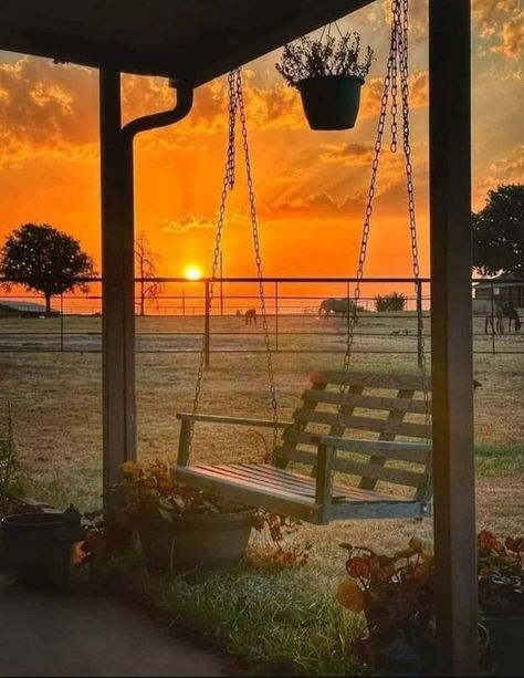 Good Night All, Porch And Balcony, Mysterious Places, The Lover, Farms Living, Sunset Lover, Beautiful Life, Porch Swing, Beautiful Sunset