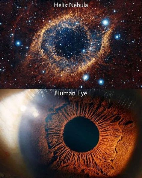 JWST ● Hubble ● NASA Missions & Astronomical Discoveries | Helix Nebula ~ Human Eye 😳📷 🌌 | Facebook Helix Nebula, Nasa Missions, Space Facts, Self Organization, Christian Post, Human Eye, Space Stars, Good Marriage, Space And Astronomy