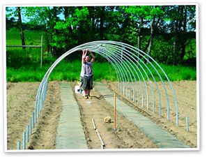 recommended hoohouse crops to start in Aug- Sept Greenhouse Gardens, High Tunnel, Cheap Greenhouse, Silver Garden, Greenhouse Farming, Orchard Design, Hoop House, Tunnel Greenhouse, Diy Greenhouse Plans